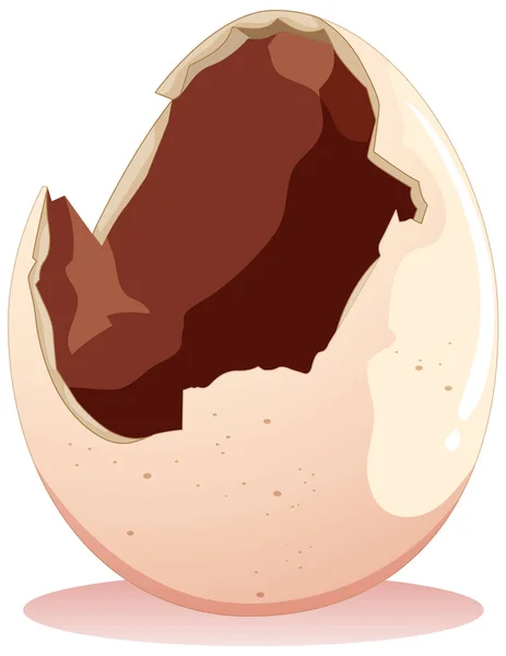 白色背景图上的裂开的鸡蛋 — 图库矢量图片