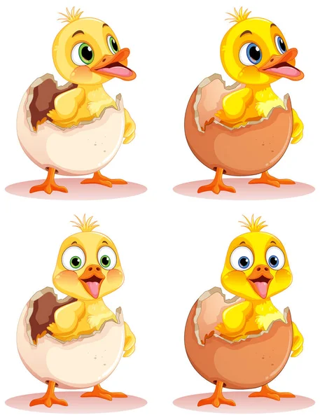 Αξιολάτρευτο Little Duck Χαρακτήρας Συλλογή Εικονογράφηση — Διανυσματικό Αρχείο
