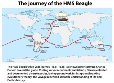 HMS Beagle Bilgi Resimlerinin Yolculuğu