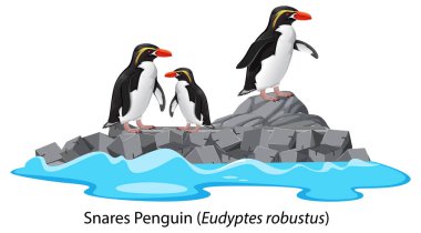 Kaya çizimindeki penguen karikatürünü yakalar