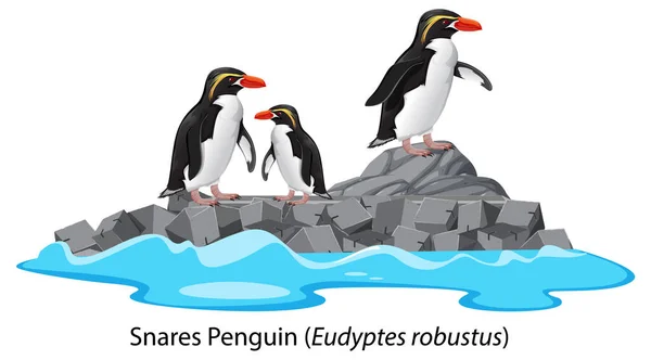 Pingüino Trampas Dibujos Animados Ilustración Roca — Vector de stock