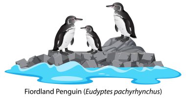 Fiordland Penguen karikatürü kaya çiziminde