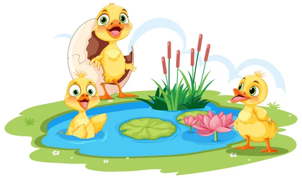Cute Ducks Pond Illustration — Stock Vector