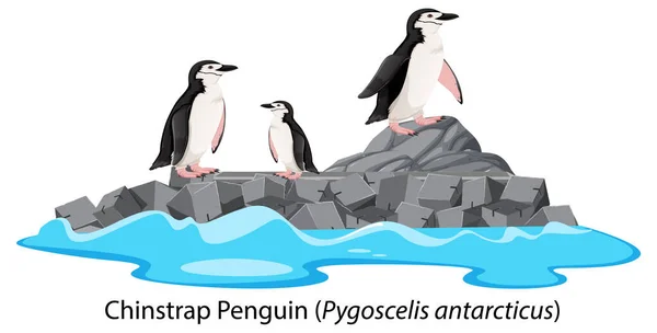 岩のイラストにペンギンの漫画を切り抜きます — ストックベクタ
