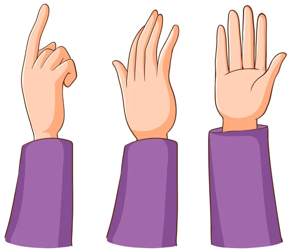 Set Human Hands Different Gesture Illustration — Stock Vector