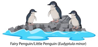Peri pengueni ya da kaya çizimindeki küçük penguen karikatürü