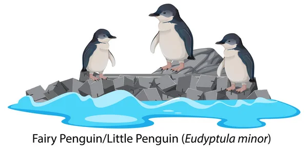Pinguim Fadas Pequeno Desenho Animado Pinguim Ilustração Rocha — Vetor de Stock