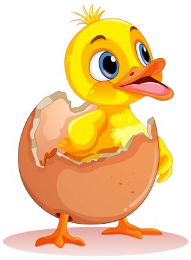 Yumurta illüstrasyonundan Küçük Ördek Yumurtası