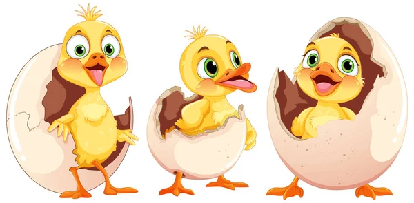 Cute Duckling Cartoon Characters Illustration — Stock Vector