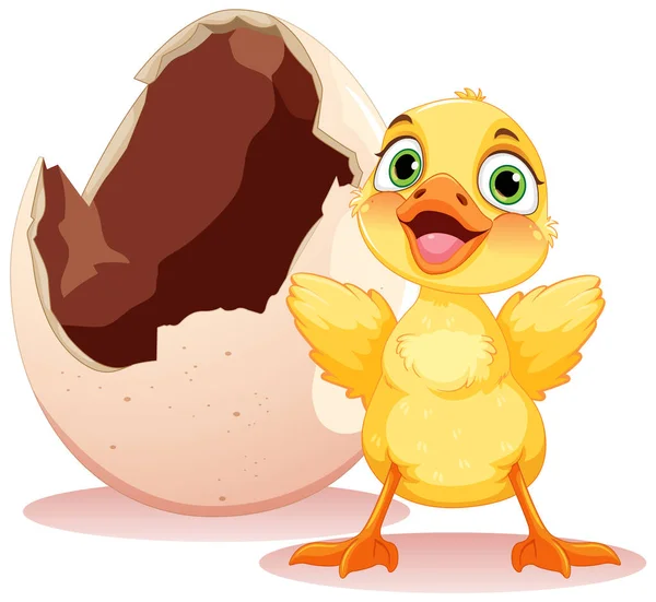 Little Duck Hatching Uovo Illustrazione — Vettoriale Stock