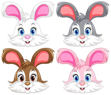 Farklı tavşan örneklerinin koleksiyonu