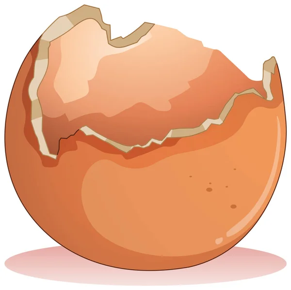 白い背景のイラストで割れた卵 — ストックベクタ