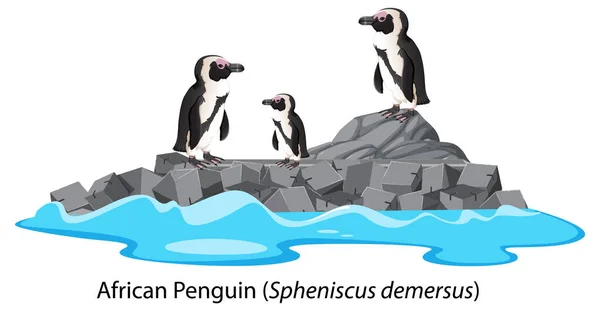 Adelie Pinguino Cartone Animato Sulla Roccia Illustrazione — Vettoriale Stock
