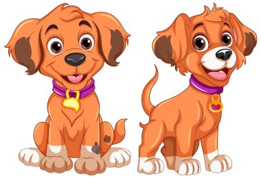 Oturan ve Ayakta Duran Resimlerdeki Sevimli Köpek