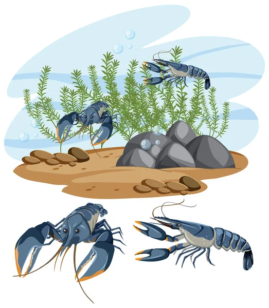 Lobster Its Natural Habitat Illustration — Stock Vector