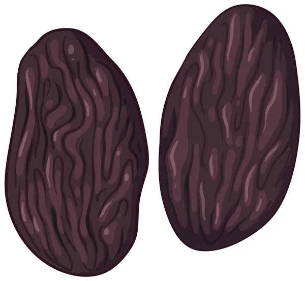 Illustration Vectorielle Deux Raisins Secs Isolés — Image vectorielle