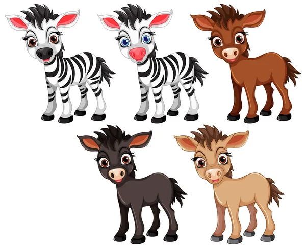 Set Van Schattige Zebra Paard Illustratie — Stockvector