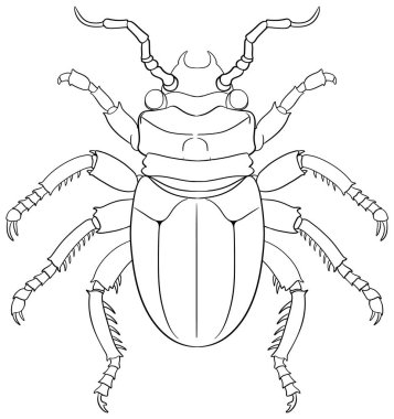 Renklendirme için Böcek Özeti
