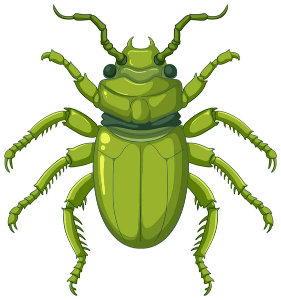 Scarab Beetle Vector Απομονωμένο Λευκό Φόντο Εικονογράφηση — Διανυσματικό Αρχείο