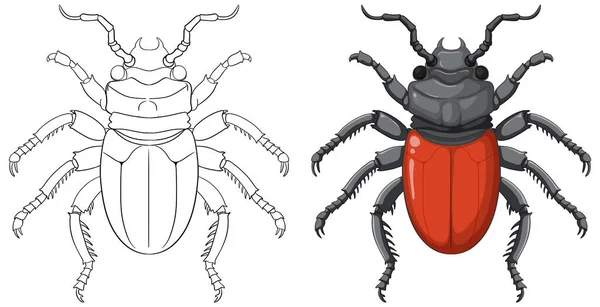 Scarab Beetle彩绘图片大纲 — 图库矢量图片