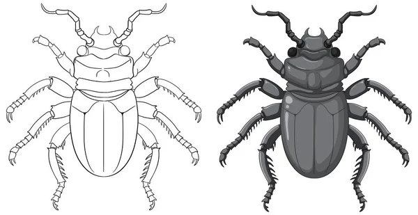 Escarabajo Escarabajo Esquema Para Colorear Ilustración — Vector de stock