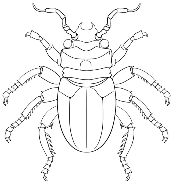 Scarab Beetle彩绘图片大纲 — 图库矢量图片