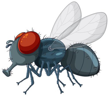 Böcek sineği izole edilmiş çizgi film çizimi