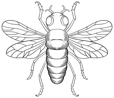 Renklendirme için Arı Böceği Özeti