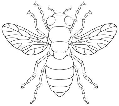 Renklendirme için Arı Böceği Özeti