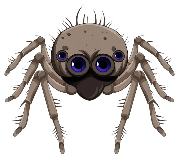 Brown Spider Cartoon Isolated Illustration — Stock Vector