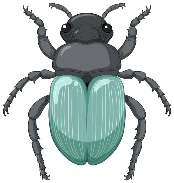 Escaravelho Vector Isolado Ilustração Fundo Branco — Vetor de Stock