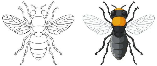 Illustration Des Contours Des Insectes Abeilles Pour Coloration — Image vectorielle