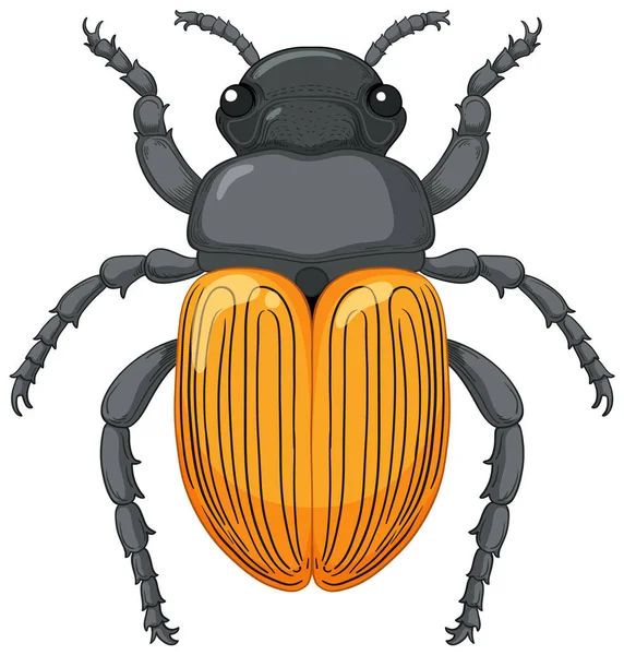 Scarab Beetle Vector Isolated White Background Illustration — Stock Vector