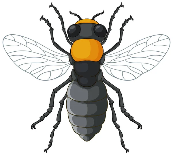 基于白背景图解的蜜蜂昆虫病媒分离 — 图库矢量图片