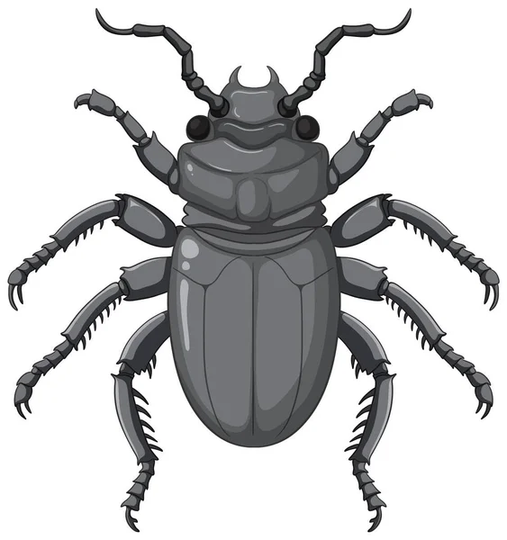 Escaravelho Vector Isolado Ilustração Fundo Branco —  Vetores de Stock