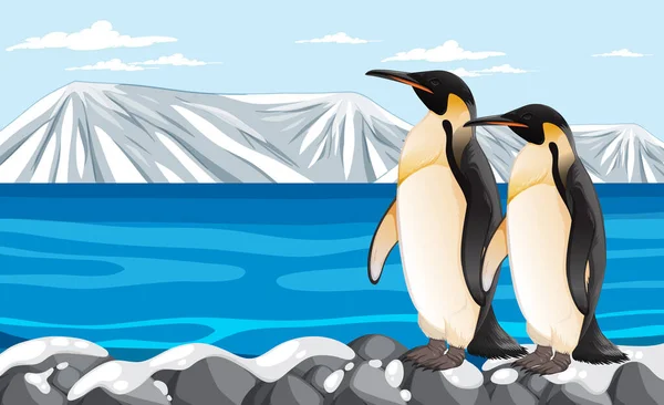 Desenho Animado Vetorial Ilustração Pinguim Sobre Rochas Ártico — Vetor de Stock