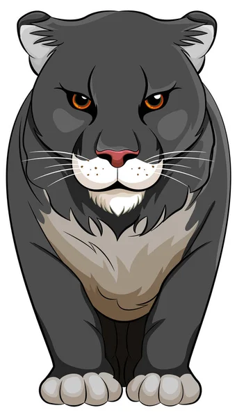 Vector Cartoon Illustration Black Panther Walking — Stock Vector