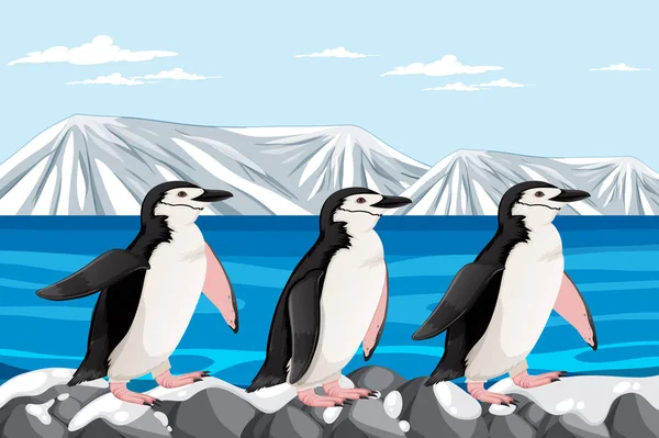 Cartone Animato Vettoriale Illustrazione Pinguino Piedi Rocce Nell Artico — Vettoriale Stock