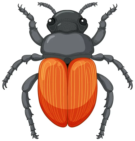 Escaravelho Vector Isolado Ilustração Fundo Branco —  Vetores de Stock