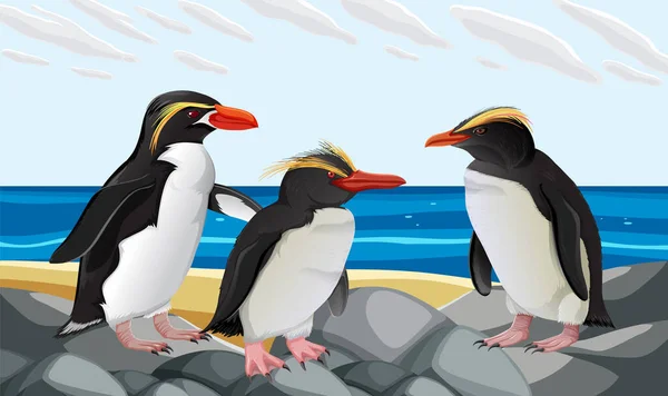 Uma Ilustração Desenho Animado Pinguim Adorável Uma Praia — Vetor de Stock