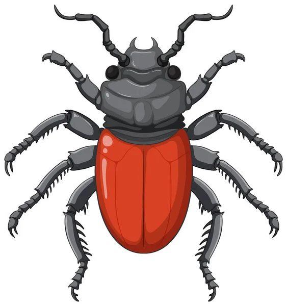 基于白背景图解的Scarab Beetle向量 — 图库矢量图片