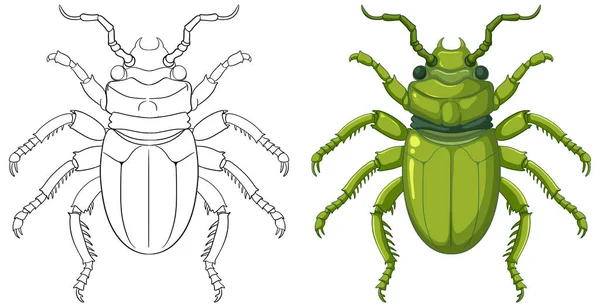 Escaravelho Escaravelho Esboço Para Colorir Ilustração — Vetor de Stock