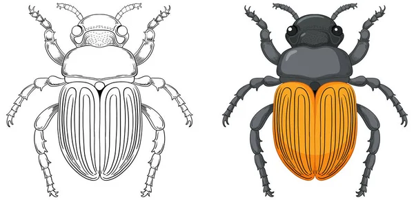 Scarab Beetle Outline Colouring Illustration — Stock Vector