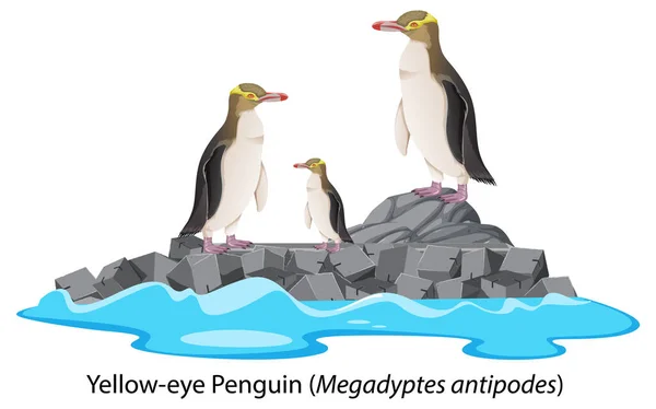 Pinguino Dagli Occhi Gialli Cartone Animato Sulla Roccia Illustrazione — Vettoriale Stock