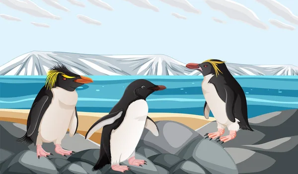 Una Ilustración Vectorial Dibujos Animados Pingüino Parado Sobre Trozo Hielo — Archivo Imágenes Vectoriales