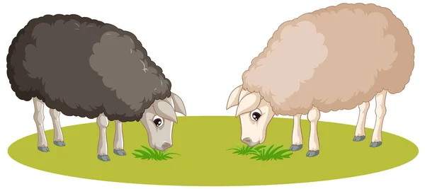 Vector Cartoon Illustration Black White Sheeps Eating Grass — Stock Vector