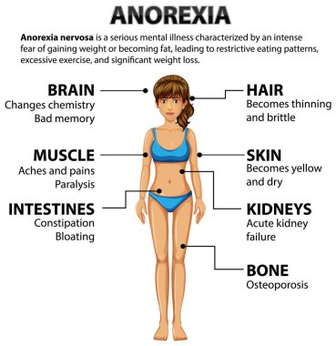 Anorexia 'nın çeşitli vücut fonksiyonları üzerindeki etkisini gösteren bir resim