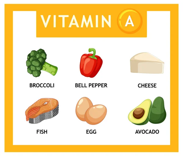 Descubre Una Variedad Alimentos Nutritivos Ricos Vitamina — Archivo Imágenes Vectoriales
