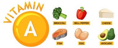 Besleyici bir yemek için çeşitli A vitamini gıdalarının tasviri