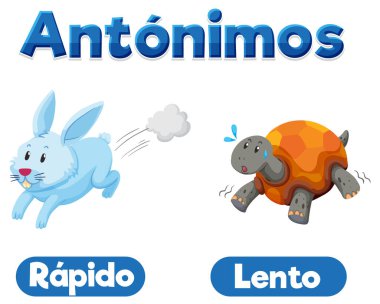 İspanyolca 'da zıt anlamlar olan Rapido ve Lento' nun vektör çizimi hızlı ve yavaş anlamına gelir.